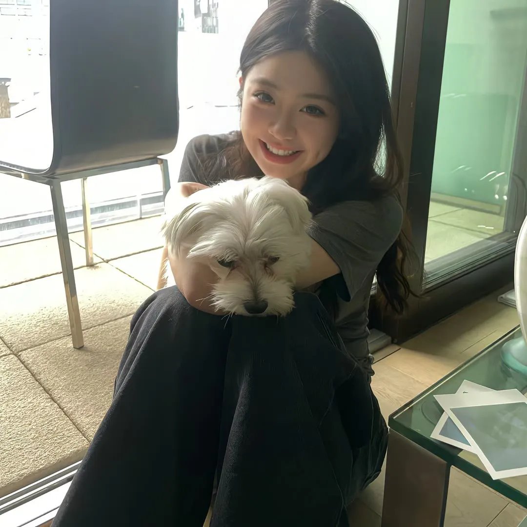 安琪拉的圣诞心愿